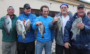 Overberg Kushengelklub (17 Sept 2015)